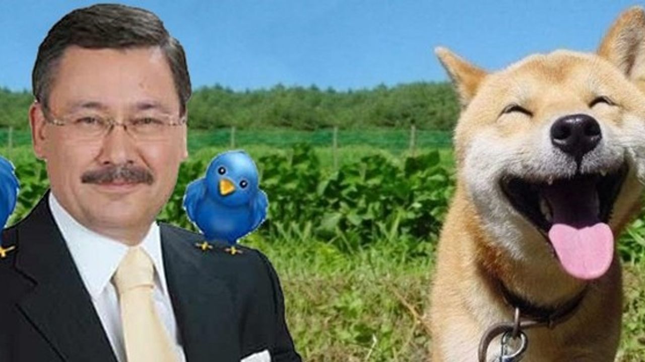 TURKISH OFFICIAL 'BARKS' AFTER TWEET by 'FAKE GÖKÇEK'