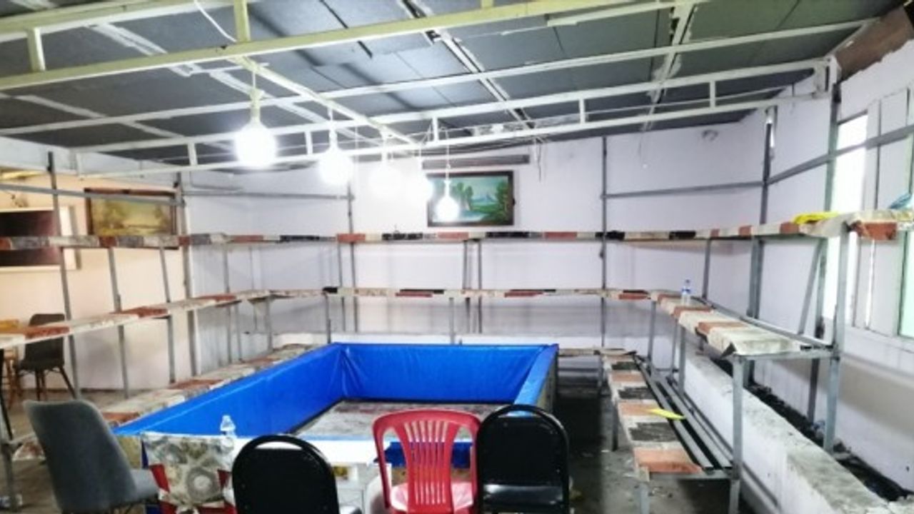 HOROZ DÖVÜŞTÜRENLERE CEZA