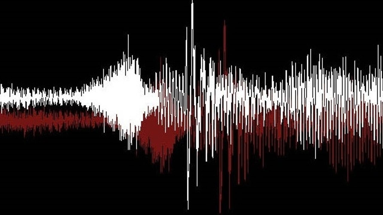 BİR BOMBA SES KAYDI DAHA “BİRİNİ FİZANA, BİRİNİ HİZANA“