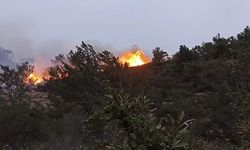 BODRUM’da KORKUTAN YANGIN