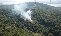 BEYKOZ'da ORMAN YANGINI