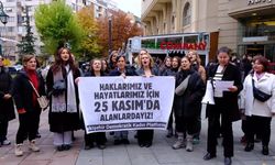 25 KASIM ÇAĞRISI: ŞİDDETE KARŞI BİRLİKTE YÜRÜYELİM