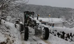 ARTVİN KARA TESLİM: 125 KÖY ULAŞIMA KAPANDI