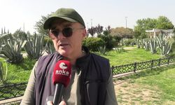 ÖĞRETMEN ÇALIK: KARINCALAR FİLİ YENECEK