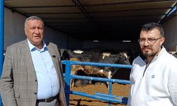 GÜRER: TARIM VE HAYVANCILIK ÇÖKÜYOR