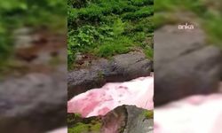 DERENİN RENGİ DEĞİŞTİ, HALK TELAŞLANDI