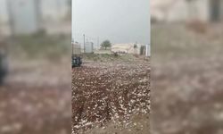 ŞANLIURFA'DA DOLU YAĞIŞI TARIMI VURDU