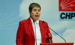 ŞAHBAZ: ÇOCUKLARIN EMEĞİ SÖMÜRÜ DÜZENİNE TESLİM