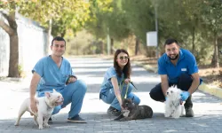 İZMİR'DE EL KONULAN CİNS KÖPEKLER SAHİPLENDİRİLECEK