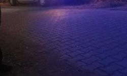 MUĞLA'DA FECİ OLAY!  ANNESİNİ  AV TÜFEĞİ İLE  KATLETTİ