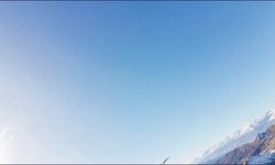 BU DA OLDU! TUNCELİ'DE KARTAL DRONU KAPTI