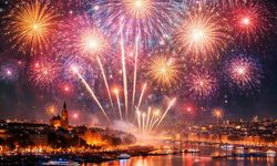 ALMANYA'DA "HAVAİ FİŞEK YASAKLANSIN" KAMPANYASI BÜYÜYOR