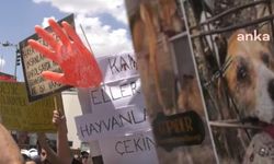 KÖPEKLERE SALDIRAN DOKTOR YENİDEN YARGILANACAK