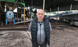 ZEYTİNYAĞININ İTHAL EDİLMESİ ÜRETİCİYİ YARALADI