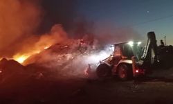 HER YERDE ORMAN YANGINI: IĞDIR'DA ANIZ YAKMAK YASAKLANDI