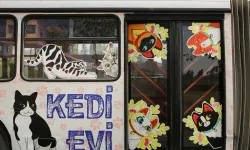 ANKARA BÜYÜKŞEHİR BELEDİYESİ'NDEN ÖZEL KEDİ MERKEZİ