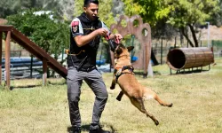 BAŞKENTTE K9 EKİPLERİ GÖREVLERİ BAŞINDA