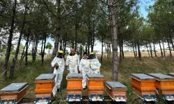 BİLİNÇLİ ÜRETİMLE KOCAELİ BALI TÜM TÜRKİYE'DE