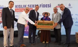 İBB'DEN ÇİFTÇİLERE ÜCRETSİZ KIŞLIK SEBZE FİDESİ