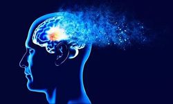 ALZHEIMER HASTALARINA VE YAKINLARINA AKILLI DESTEK