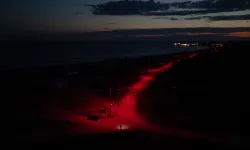 CARETTA YAVRULARI KIRMIZI LED YOL İLE ŞAŞIRMADAN DENİZE