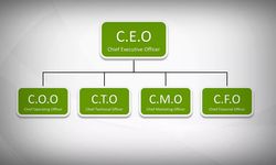 CTO MAAŞLARI CEO MAAŞLARINI GEÇTİ