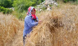 DEPREM BÖLGESİNDE 'TEMİZ EKMEK PROJESİ'