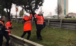 İSTANBUL'DA AYLIK TOPLAM YAĞIŞIN 4 KATI BİR GÜNDE DÜŞTÜ