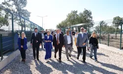 SAHİPSİZ HAYVANLAR İÇİN 'UMUT AĞACI' AÇILDI