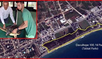 MAYOR of MEZITLI MADE A WRITTEN STATEMENT for CARETTA CARETTAS