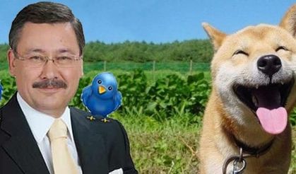 TURKISH OFFICIAL 'BARKS' AFTER TWEET by 'FAKE GÖKÇEK'