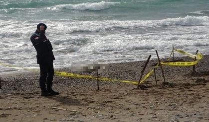 SAHİL DEĞİL SANKİ CESET TARLASI