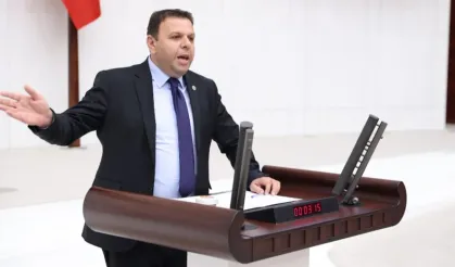 SÜT ÜRETİCİLERİNİN SORUNLARI TBMM'de