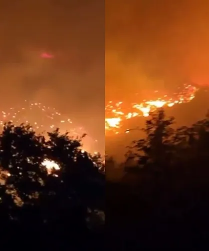 HER YERDE ORMAN YANGINI: BU KEZ ADRES ALANYA
