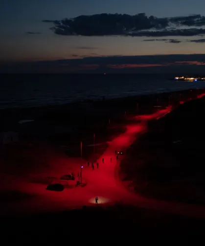 CARETTA YAVRULARI KIRMIZI LED YOL İLE ŞAŞIRMADAN DENİZE