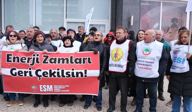 ÖZELLEŞTİRMELER ENERJİYİ KULLANMA HAKKINI ENGELLİYOR