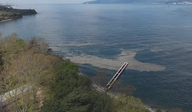 MARMARA'DAN SONRA KÖRFEZDE MÜSİLAJ ALARMI