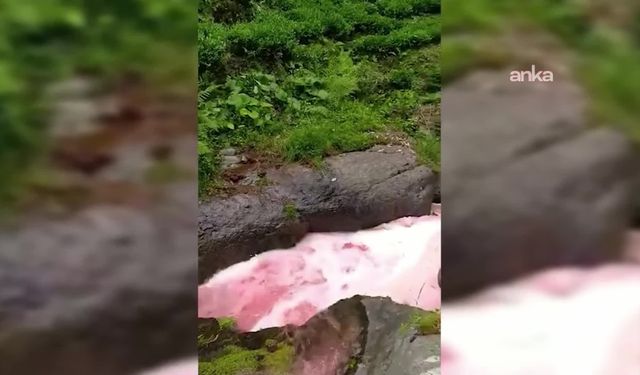 DERENİN RENGİ DEĞİŞTİ, HALK TELAŞLANDI