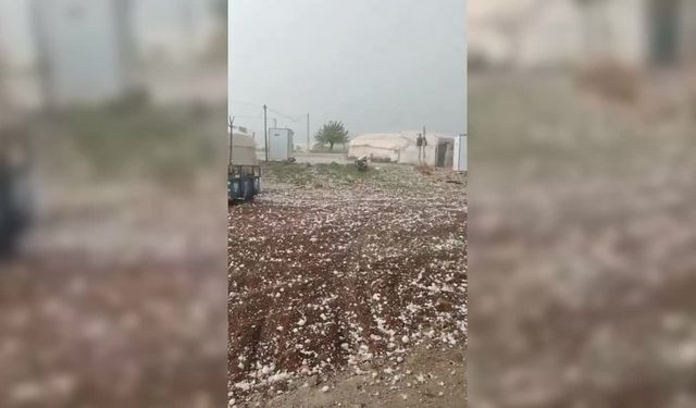 ŞANLIURFA'DA DOLU YAĞIŞI TARIMI VURDU