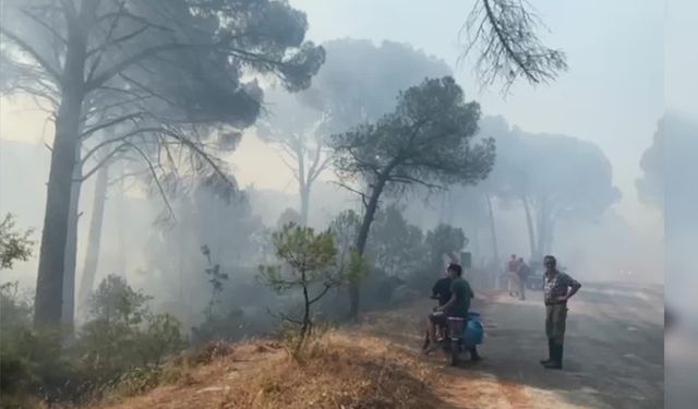 BERGAMA’DA ORMAN YANGINI: RÜZGAR MÜDAHALEYİ ZORLAŞTIRIYOR