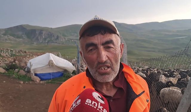 BESİCİLER  ŞAP HASTALIĞI NEDENİYLE ÇARESİZ