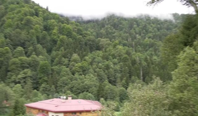 BU DA OLDU! 27 DAĞ KEÇİSİ İHALE İLE AVLANACAK!