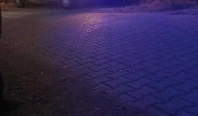 MUĞLA'DA FECİ OLAY!  ANNESİNİ  AV TÜFEĞİ İLE  KATLETTİ