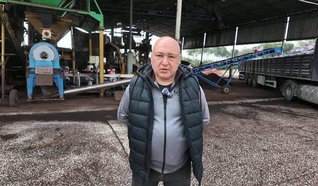 ZEYTİNYAĞININ İTHAL EDİLMESİ ÜRETİCİYİ YARALADI