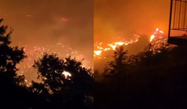 HER YERDE ORMAN YANGINI: BU KEZ ADRES ALANYA