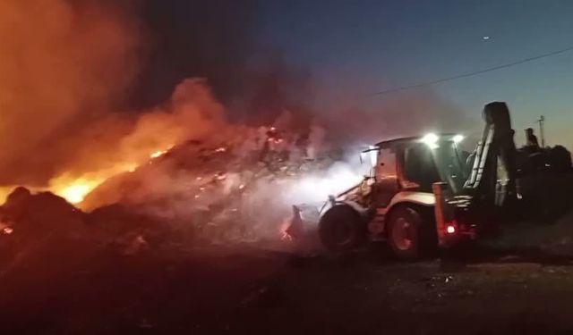 HER YERDE ORMAN YANGINI: IĞDIR'DA ANIZ YAKMAK YASAKLANDI