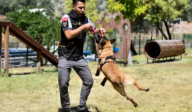 BAŞKENTTE K9 EKİPLERİ GÖREVLERİ BAŞINDA
