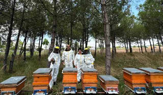 BİLİNÇLİ ÜRETİMLE KOCAELİ BALI TÜM TÜRKİYE'DE