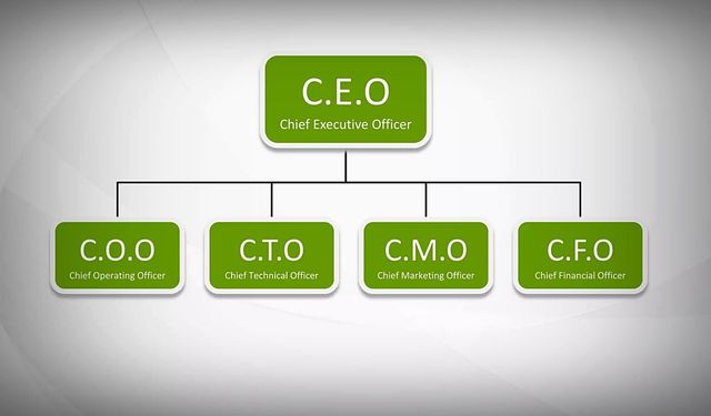 CTO MAAŞLARI CEO MAAŞLARINI GEÇTİ