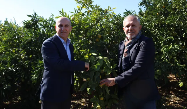 SATSUMA MANDALİNANIN İHRACAT YOLCULUĞU BAŞLADI